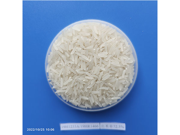 湖南凯发网站种业有限公司,长沙稻谷种植与销售,长沙农作物品种的选育,长沙农业病虫害防治服务